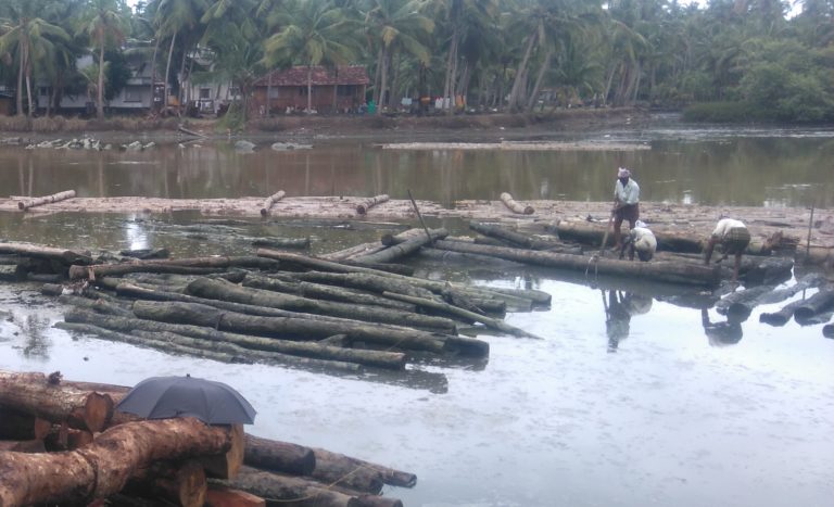 river-pollution-kerala